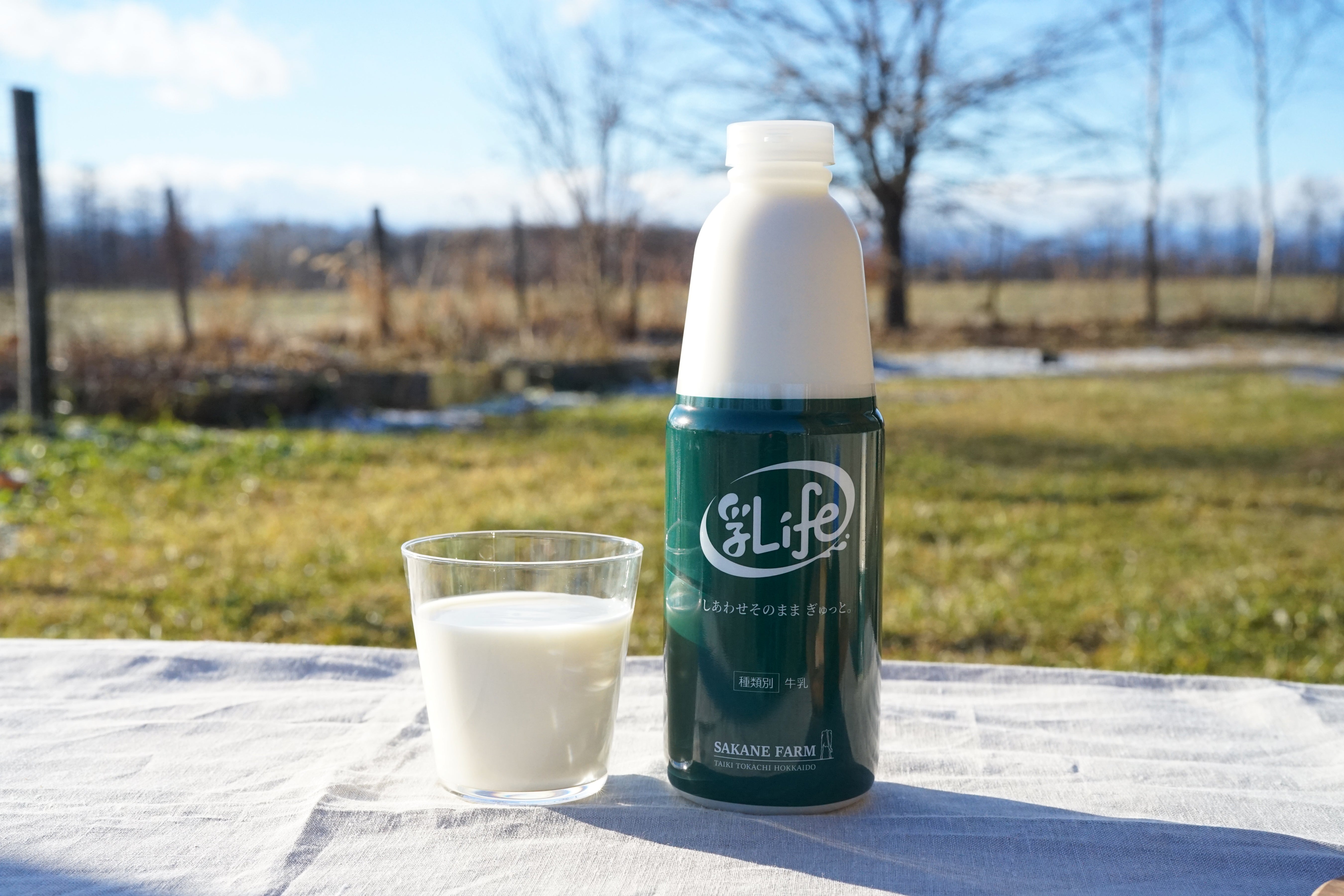 DSC07611.jpg?v=1679963376